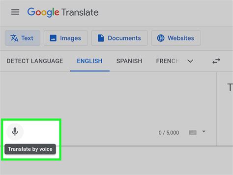 transfaye|Google Translate